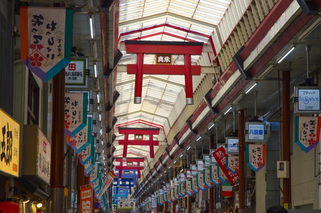 The Osaka Museum of Housing and Living